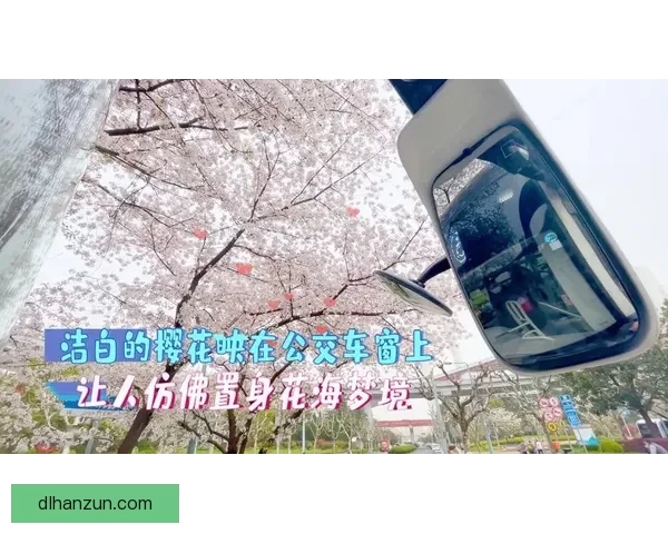 天赐的爱：一场跨越时空的心灵邂逅